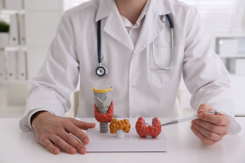 Role of an Endocrinologist in Managing Hormonal Health